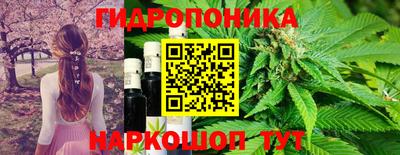 шишки Кумертау