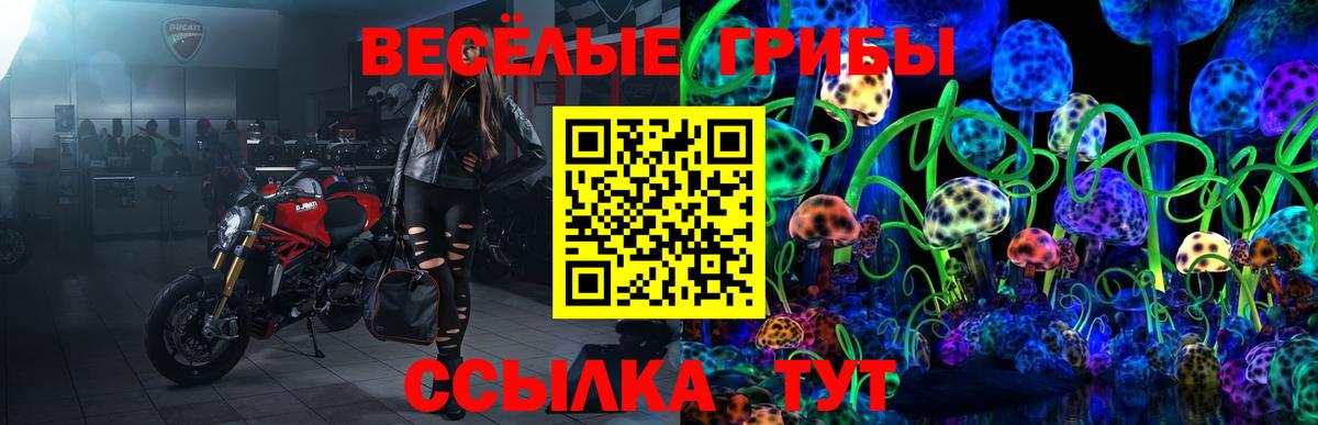 Галлюциногенные грибы MAGIC MUSHROOMS Ставрополь