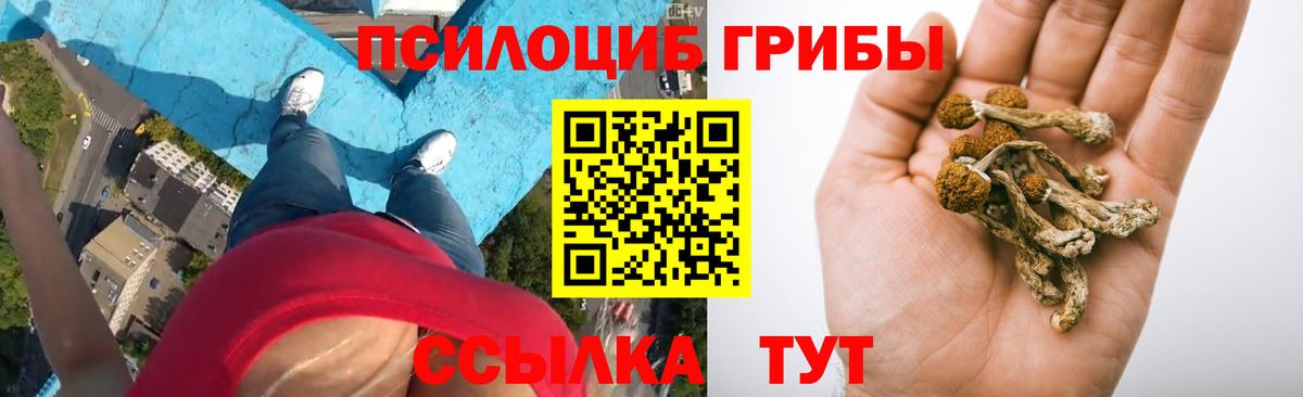 Ставрополь  Псилоцибиновые грибы мухоморы  Галлюциногенные грибы мухоморы  Вход с VPN 